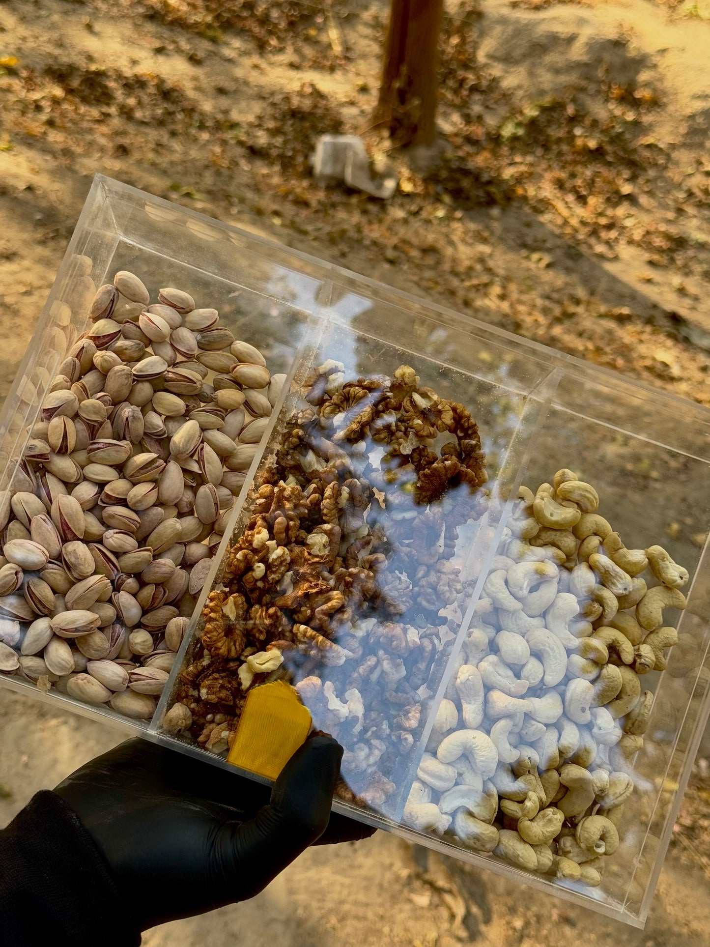PREMIUM DRY FRUITS BOX๐ (40 % OFF)